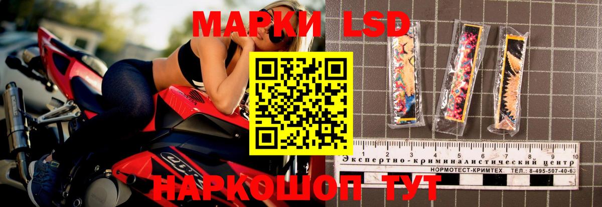 Сальск  ЛСД экстази кислота  Лсд 25 экстази кислота  Вход с VPN 