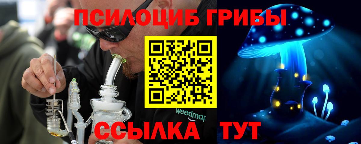 Галлюциногенные грибы Magic Shrooms  Вход с VPN  Псилоцибиновые грибы GOLDEN TEACHER  закладка  Сальск 