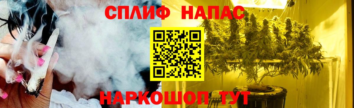 Конопля марихуана  Вход с VPN  Бошки марихуана SATIVA & INDICA  Сальск 
